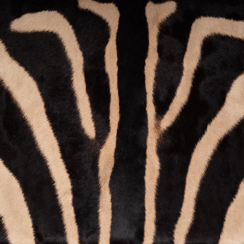 Zebra Hide Bench - The Art of Broken Pieces